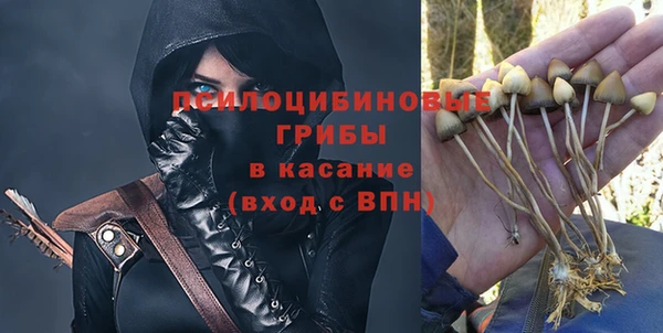 ГАЛЛЮЦИНОГЕННЫЕ ГРИБЫ Балахна