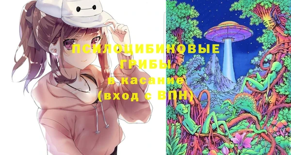 ГАЛЛЮЦИНОГЕННЫЕ ГРИБЫ Балахна